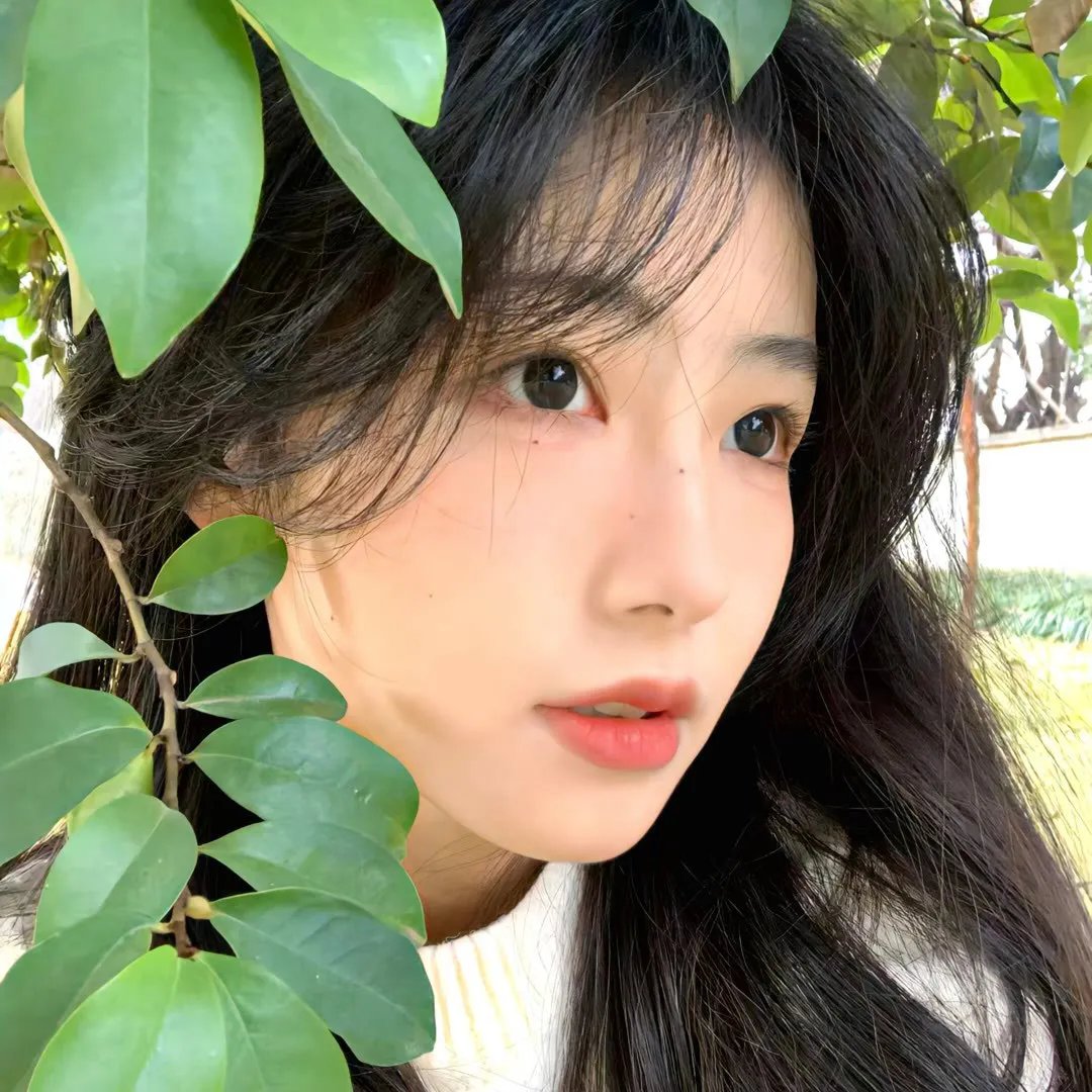 麦田捕手的女孩